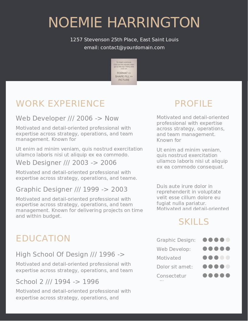 The Elegant Jobseeker CV preview